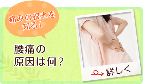 痛みの根本を知る！腰痛の原因は何？